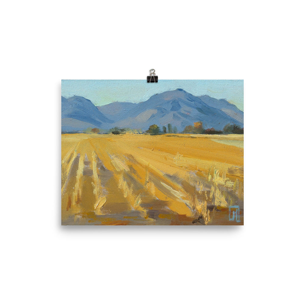 Wheat Fields Print